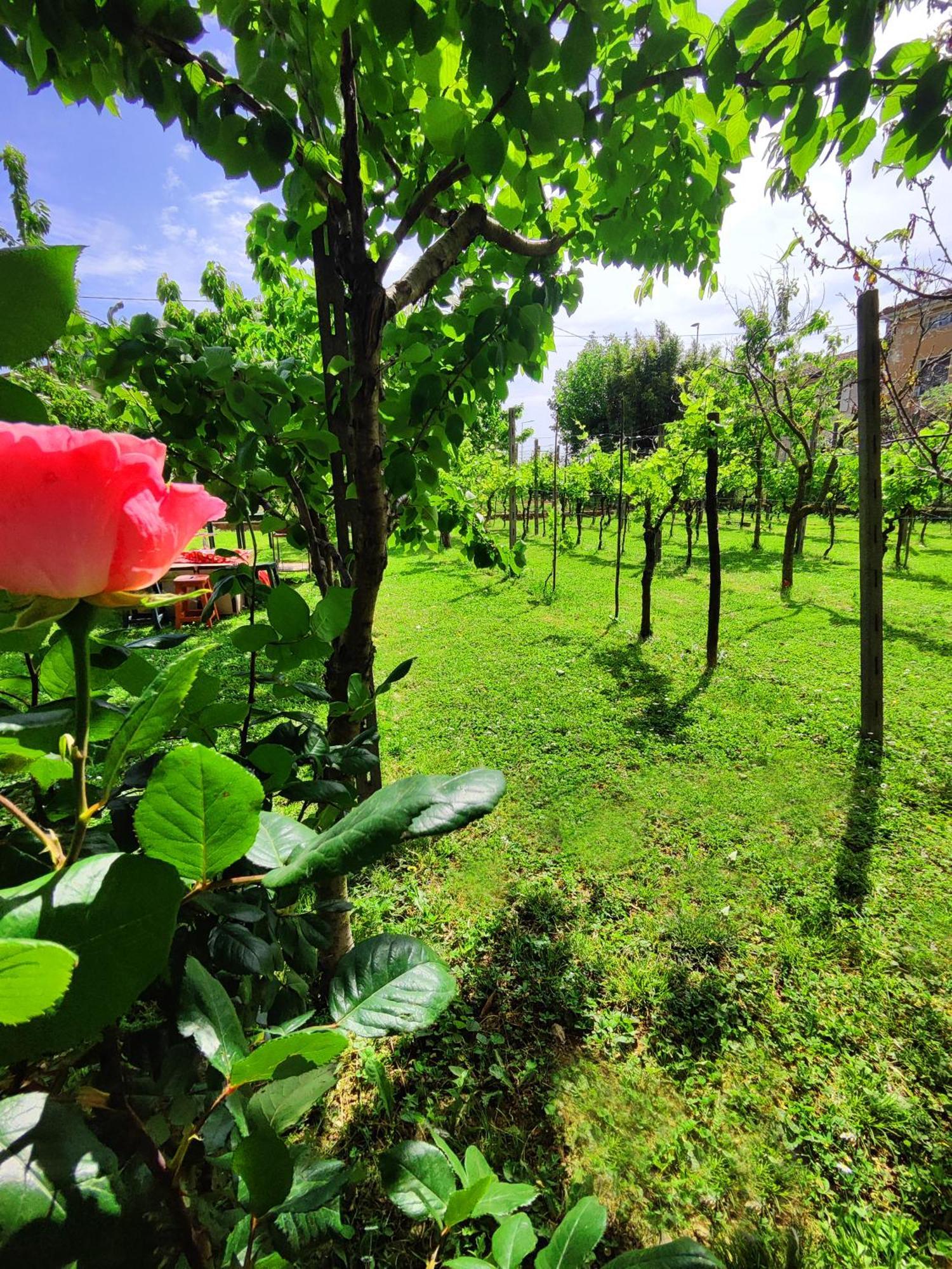 モンティキアーリ Garda Relais Antica Romelia Bed & Breakfast エクステリア 写真