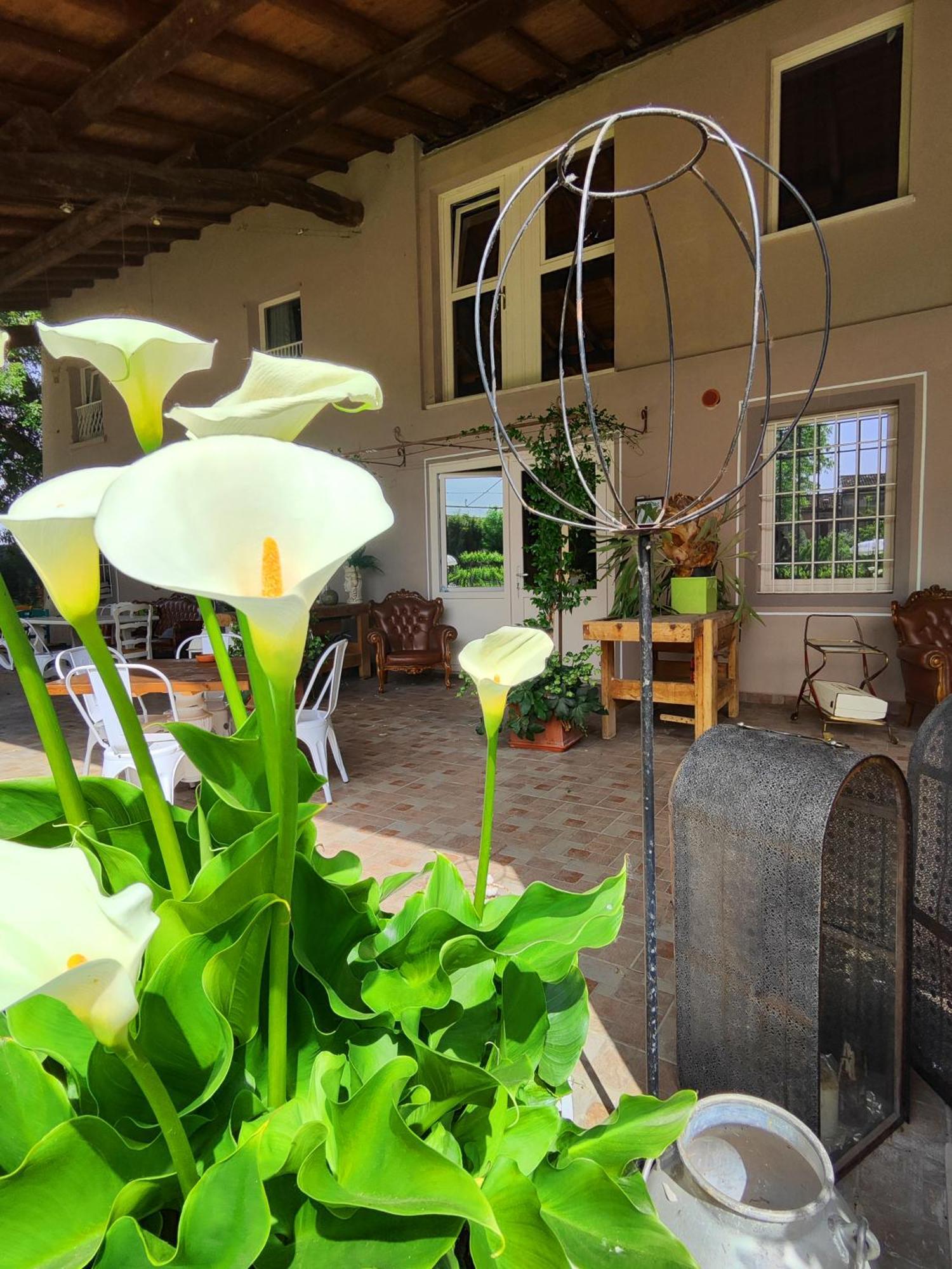 モンティキアーリ Garda Relais Antica Romelia Bed & Breakfast エクステリア 写真
