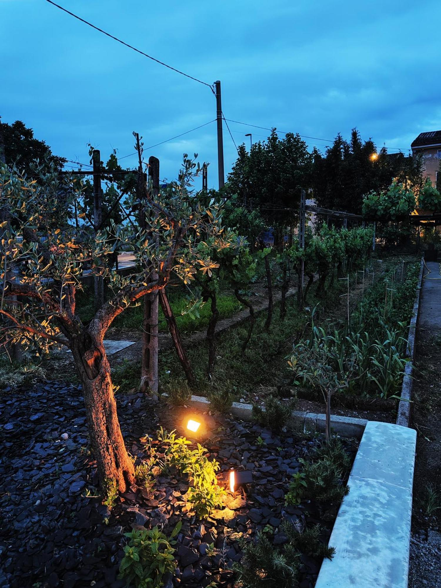 モンティキアーリ Garda Relais Antica Romelia Bed & Breakfast エクステリア 写真