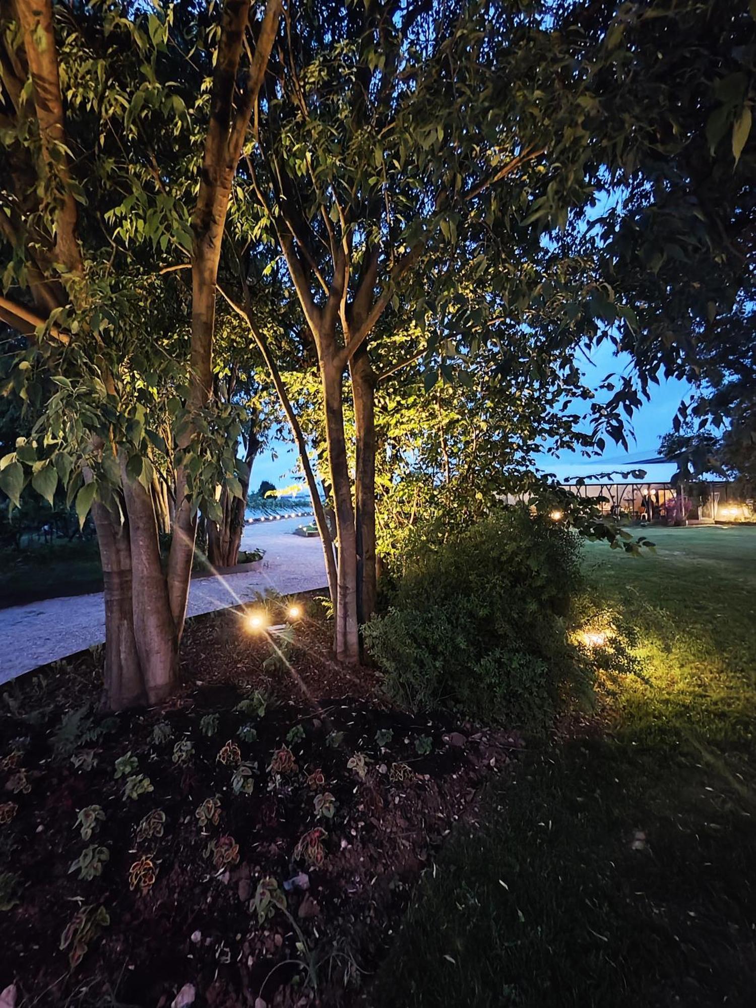 モンティキアーリ Garda Relais Antica Romelia Bed & Breakfast エクステリア 写真
